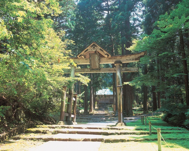  平泉寺白山神社 エリア